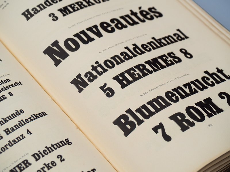 A perspective view of Halbfette Egyptienne in a Schelter & Giesecke type specimen