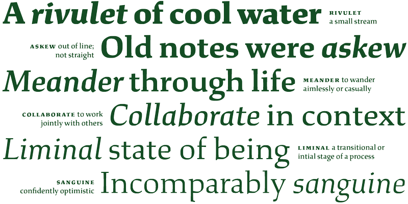 A specimen of the typeface Study