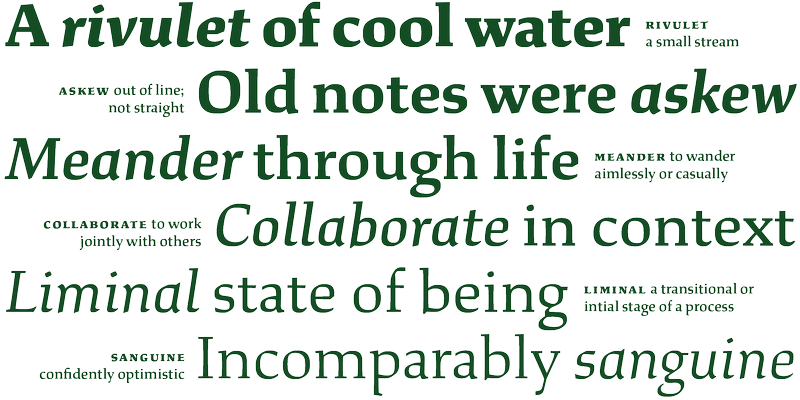 A specimen of the typeface Study
